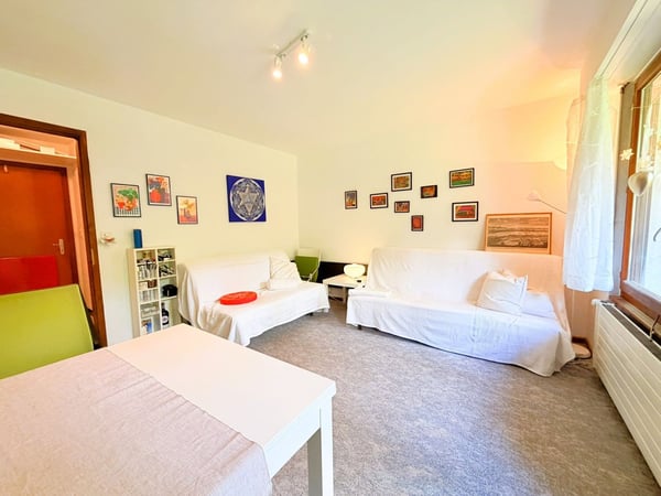 Geräumig und hell 1.5 Zimmer teilweise renoviert - Gut gelegen - Sehr ruhig - Angenehme Aussicht 4