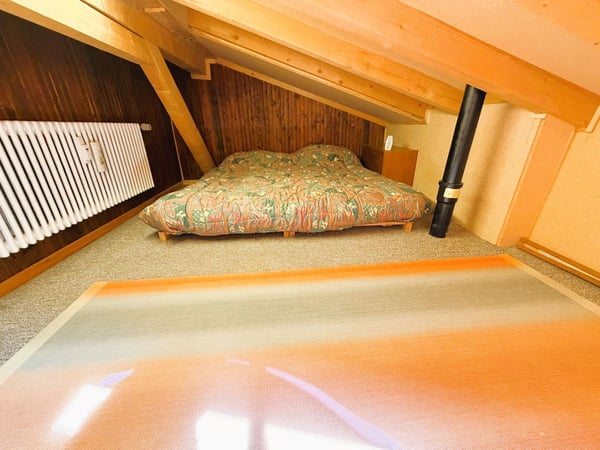 ATTIQUE ! Spacieux et lumineux 1.5 pièces rénové - Extraordinaire vue - Bien Situé - Lieu très calme 15