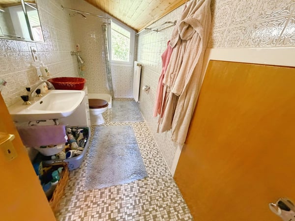 ATTIQUE ! Spacieux et lumineux 1.5 pièces rénové - Extraordinaire vue - Bien Situé - Lieu très calme 9