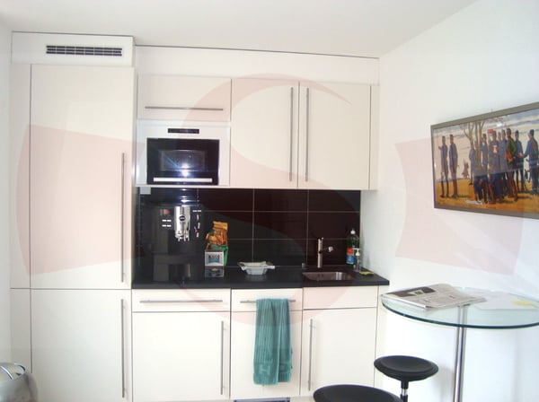 Local professionnel 4