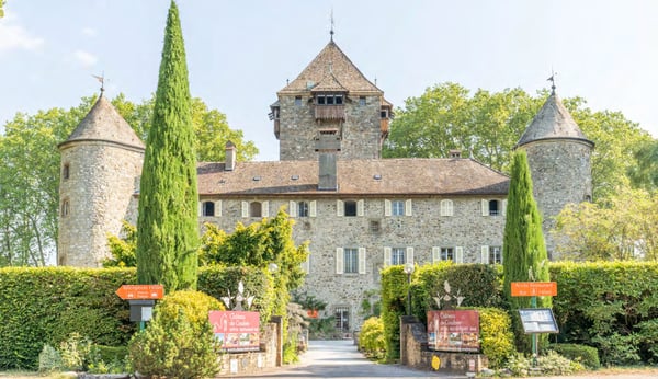 Château exceptionnel pied dans l'eau à proximité de Genève 12