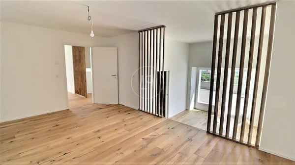Renovated duplex apartment with lake view near Rolle 8