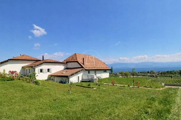 Renovated duplex apartment with lake view near Rolle 12