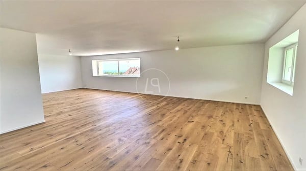 Renovated duplex apartment with lake view near Rolle 4