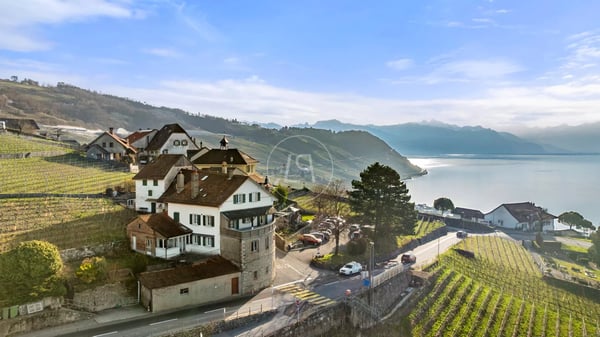 Exceptional building with 3 apartments and panoramic view, Lavaux 3
