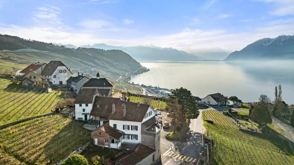 Exceptional building with 3 apartments and panoramic view, Lavaux 1
