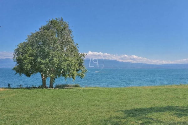 Project for a luxury modern lake front property,  Rolle 8
