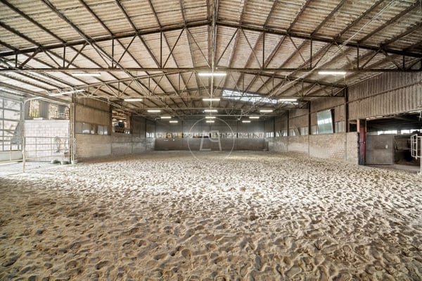 Rare equestrian property with great potential near Lausanne 11