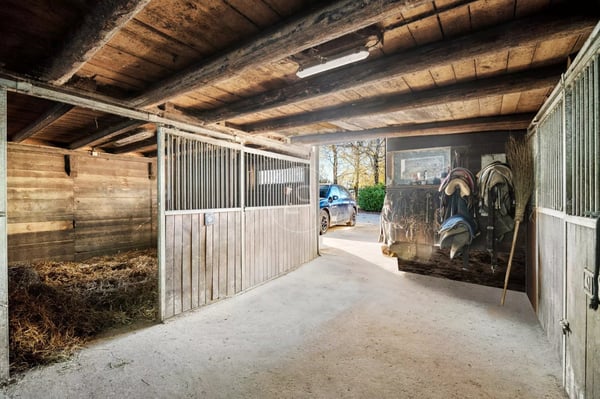 Rare equestrian property with great potential near Lausanne 10