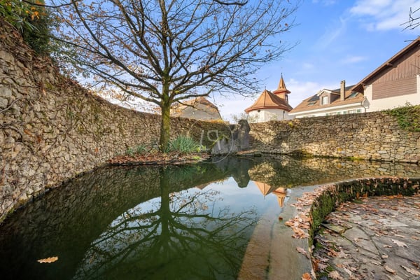 Propriété de charme avec piscine naturelle proche de Lausanne 4