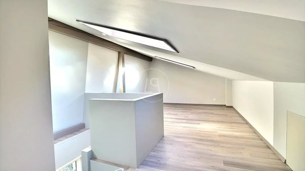 Beautiful renovated property with panoramic view in Chernex 13