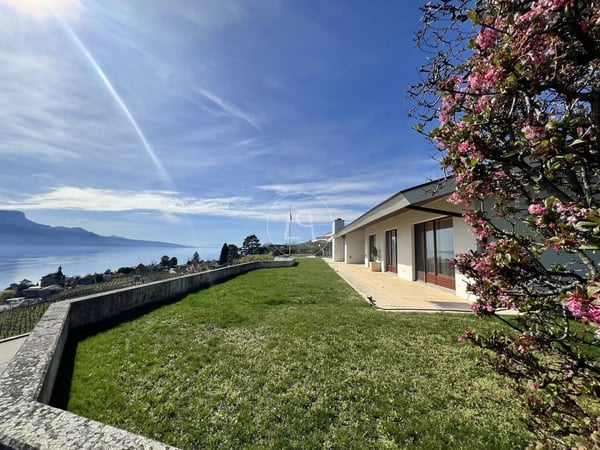 Villa in the heart of the vineyards, spectacular view ? Corseaux 1