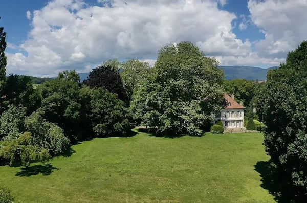 Stunning property nestled in a park with a pool near Morges 12
