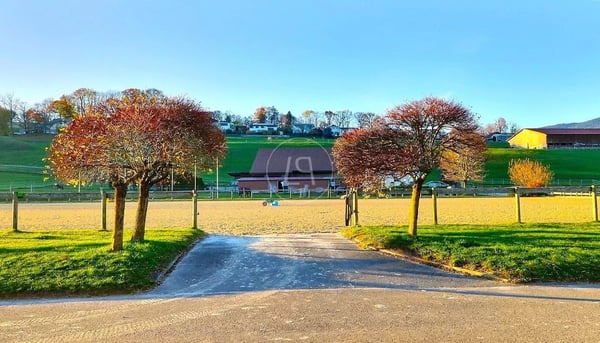 Rare equestrian property, 20 minutes from Vevey 4