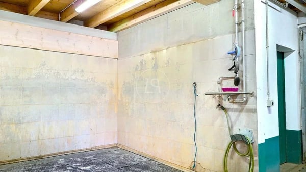 Rare equestrian property, 20 minutes from Vevey 9