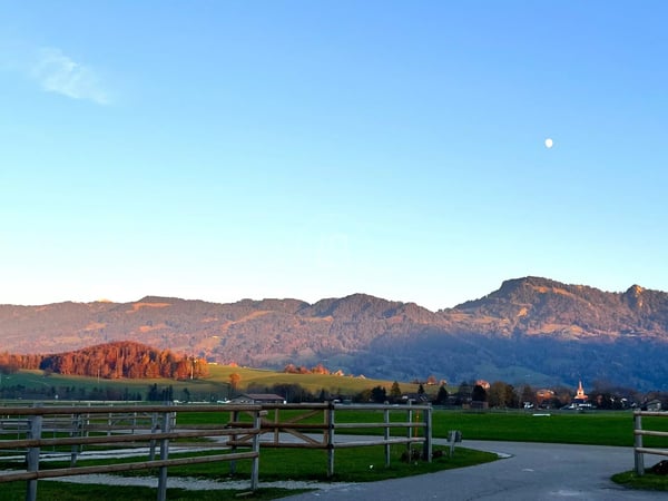 Rare equestrian property, 20 minutes from Vevey 1