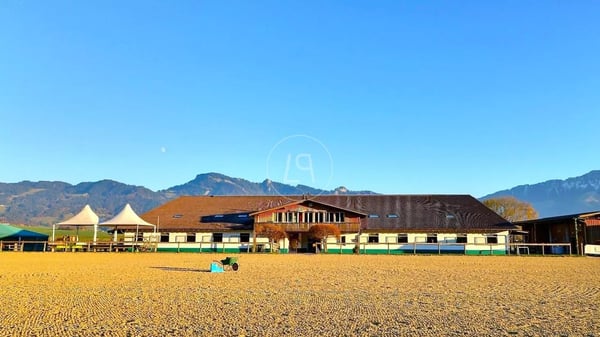 Rare equestrian property, 20 minutes from Vevey 3