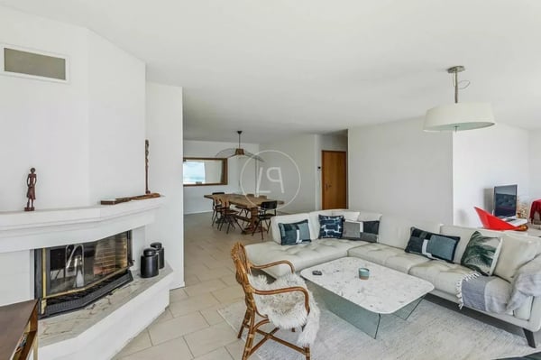 Attic with a 200 m2 terrace and breathtaking view in Montreux 3