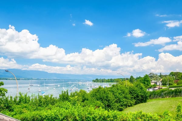 Outstanding First-Line Lakefront Villa in Cologny 3