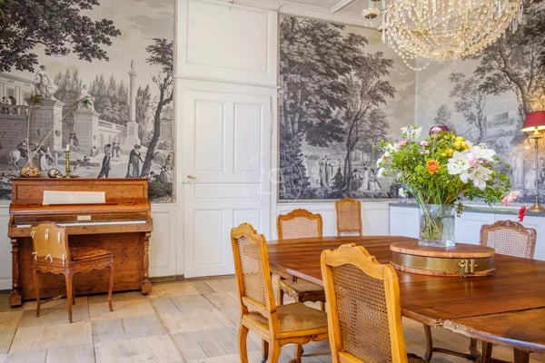 Historic 18th century castle, 15,000 m2 park, Between Lausanne and Nyon 12