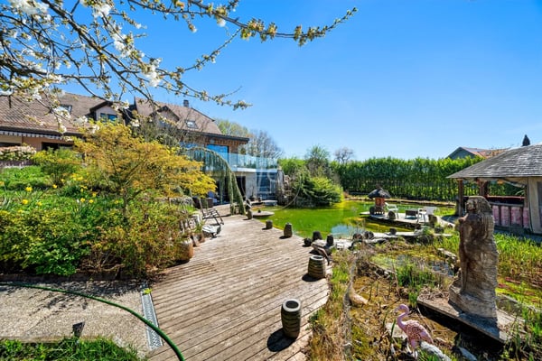 Country side property with high potential and profitability 6