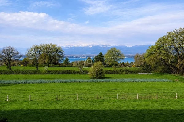 Superbe duplex de 328 m2 avec jardins et vue lac au coeur de Corsier 2