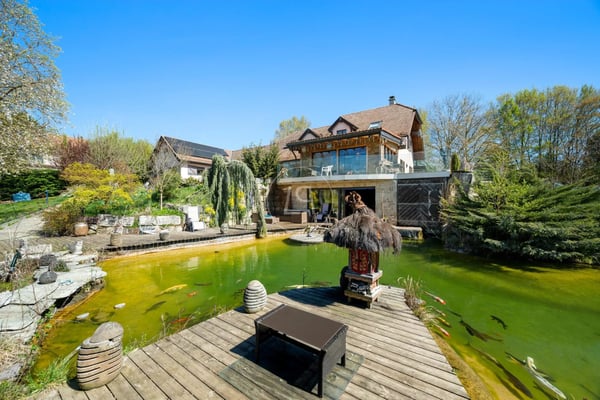 Country side property with high potential and profitability 7