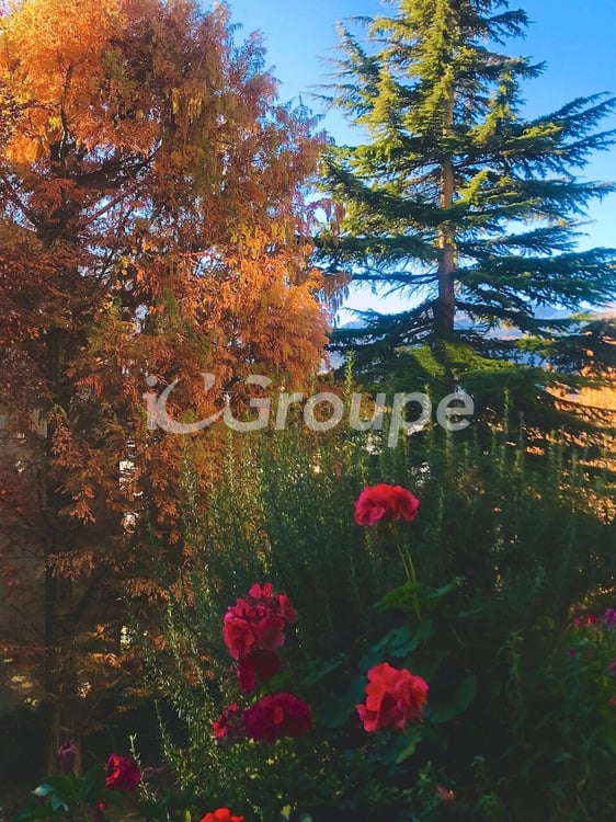 Spacieux et calme 1.5 pièces + cuisine avec balcon séparé à Sion 3