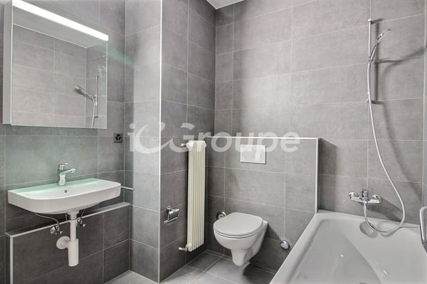 Magnifique appartement standard en bon état à louer au centre-ville de 5