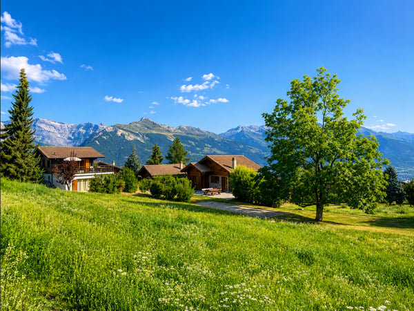 Magnifique terrain à bâtir avec vue 2