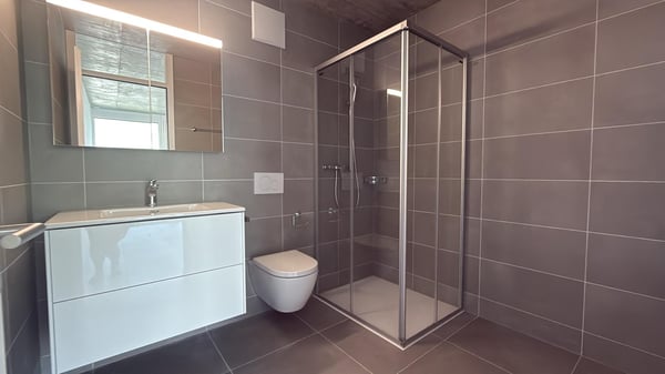 Spacieux attique neuf avec grand balcon 9