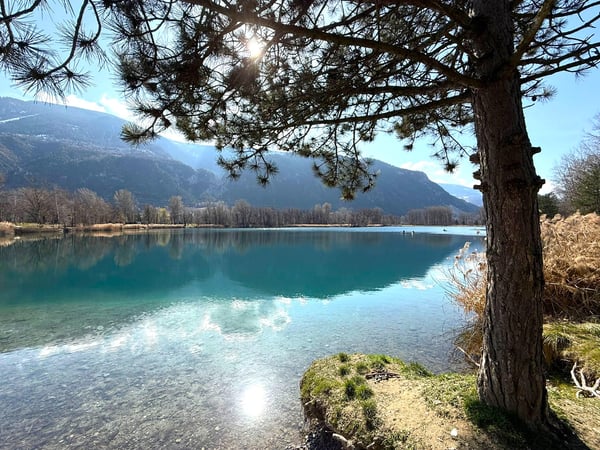 Appartement 3,5p dans nouvelle promotion en face du Golf de Sierre