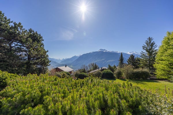Somptueuse propriété dans un havre de verdure et de paix 2