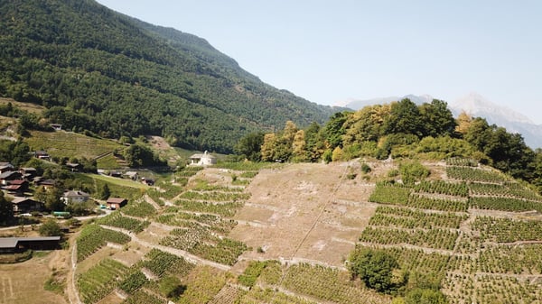 Cadre historique et naturel pour événements exclusifs 2