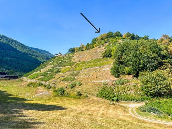 Cadre historique et naturel pour événements exclusifs 3