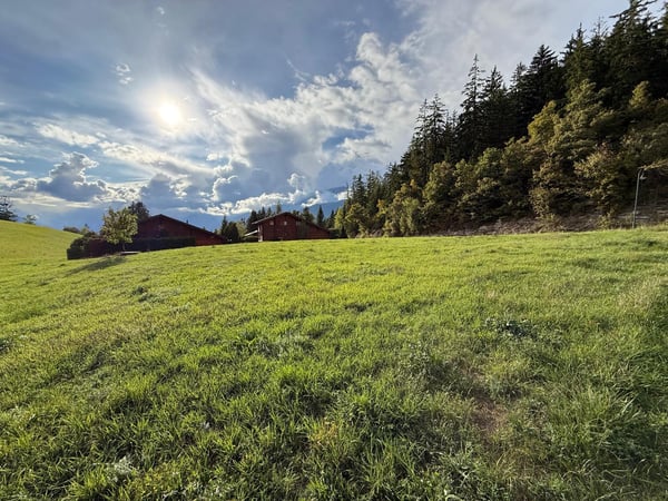 Promotion Reflet des Alpes - Chalet Murmure de la Forêt 8