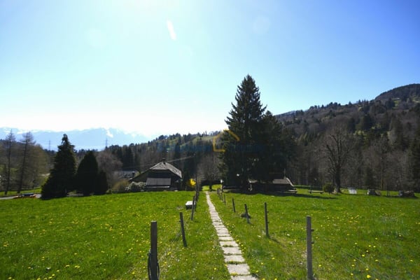 Très grand chalet, idéal pour une rénovation 9