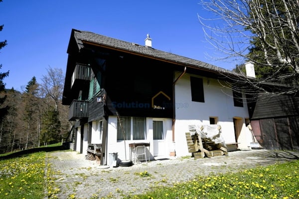 Très grand chalet, idéal pour une rénovation 3