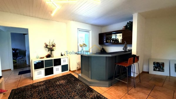 Charmant immeuble de 3 appartements avec superbe jardin 8