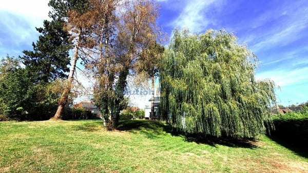 Charmant immeuble de 3 appartements avec superbe jardin 14