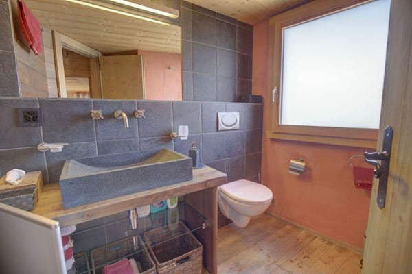Au vieux village de Nendaz, maison jumelée avec un grand cachet ! 8