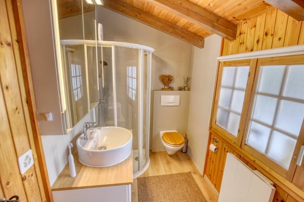 Chalet de caractère avec 2 annexes et un grand terrain à Haute-Nendaz! 19