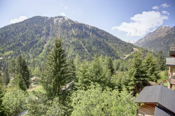 Magnifique chalet mitoyen rénové à Champex-Lac ! 38