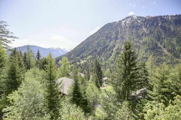 Magnifique chalet mitoyen rénové à Champex-Lac ! 37