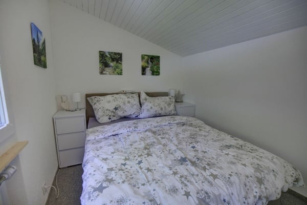 Magnifique chalet mitoyen rénové à Champex-Lac ! 15