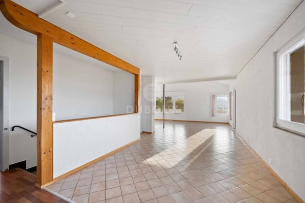 YVERDON-LES-BAINS - MAGNIFIQUE VILLA PROCHE DU CENTRE VILLE 4