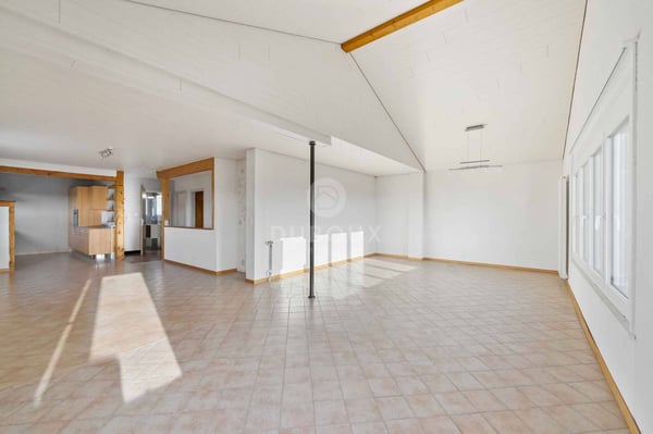 YVERDON-LES-BAINS - MAGNIFIQUE VILLA PROCHE DU CENTRE VILLE 5