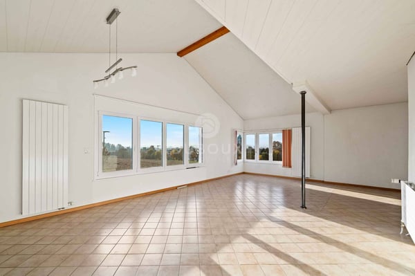 YVERDON-LES-BAINS - MAGNIFIQUE VILLA PROCHE DU CENTRE VILLE 6