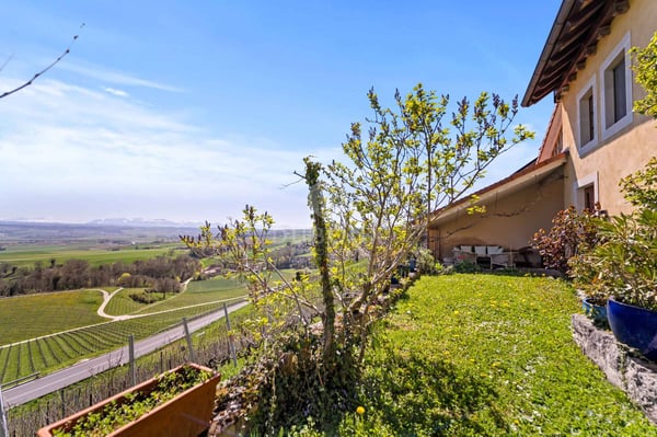 MAGNIFIQUE FERME RÉNOVÉE AVEC VUE IMPRENABLE SUR LE PLATEAU VAUDOIS 4