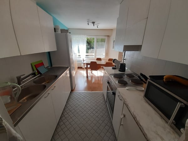 Bel appartement avec terrasse dans un cadre calme et verdoyant 3